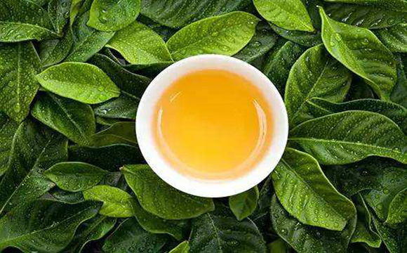温馨茶叶广告文案，冬日更暖心