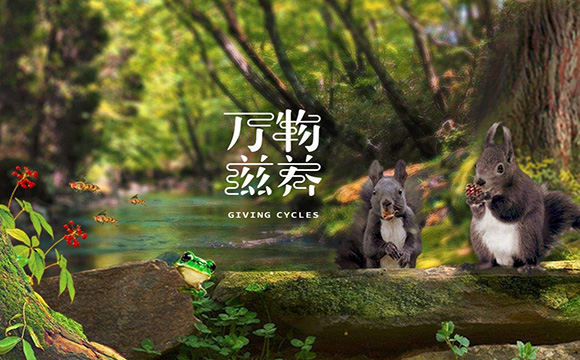 超《舌尖上的中国》纪录片文案写法