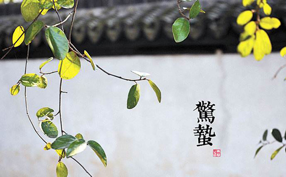 2019惊蛰节气文案你们准备好了吗