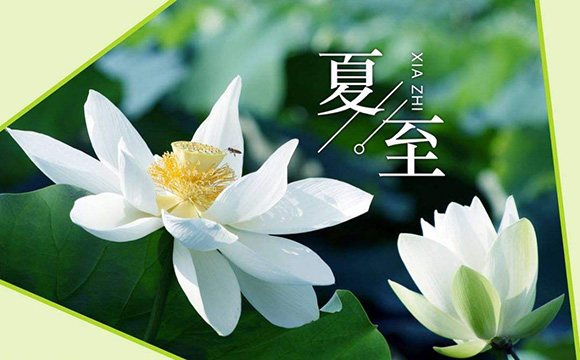 夏至节气品牌海报文案，让你清凉整个暑假