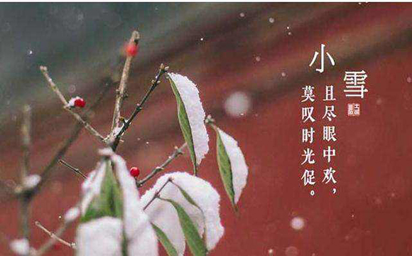 小雪节气海报分享，在寒冷之前先看场雪