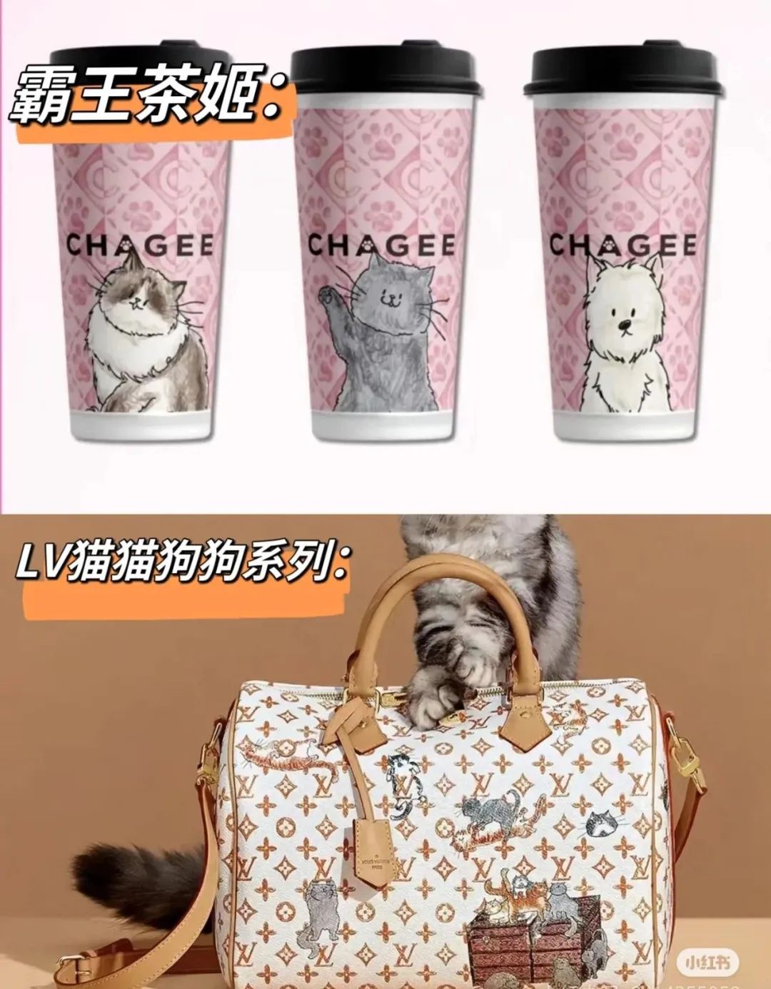 再度撞脸LV、举报网友，霸王茶姬又惹争议！